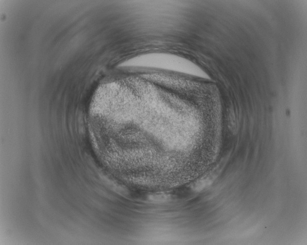 X0000073750470200608311939