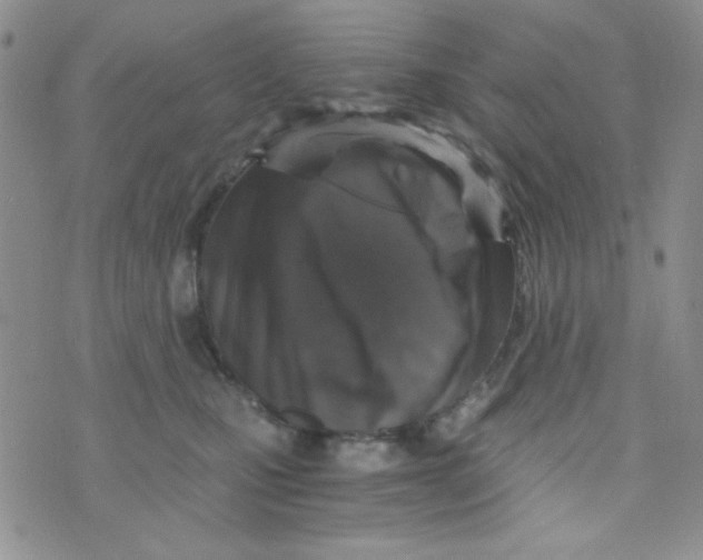 X0000073750471200608311939