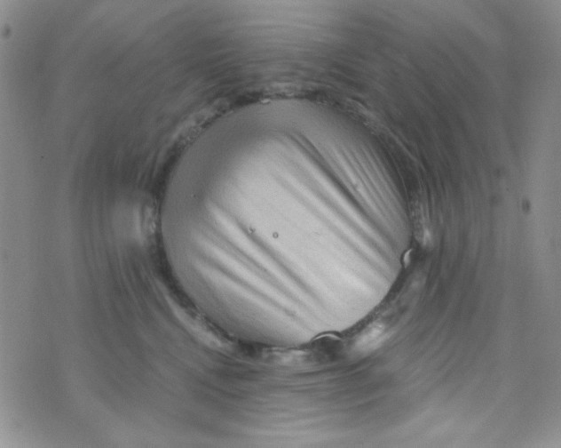 X0000073750472200608311939