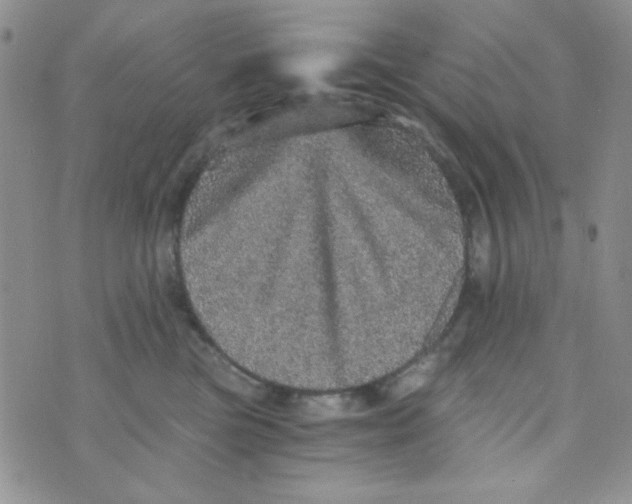 X0000073750473200608311939