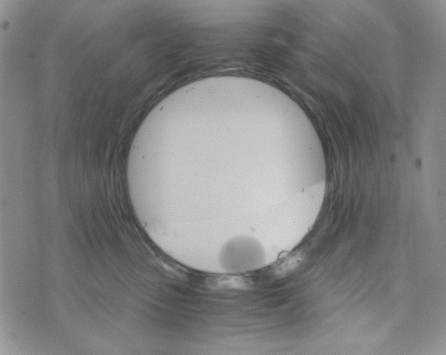 X0000073750475200608311940