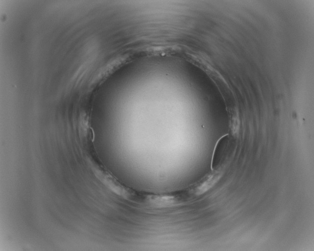 X0000073750476200608311940