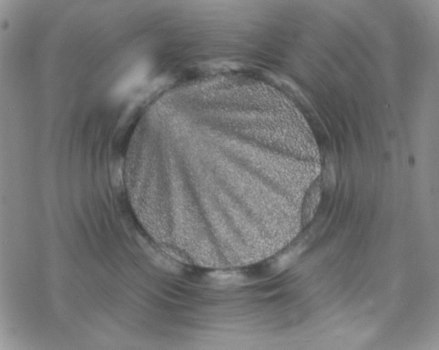 X0000073750477200608311940