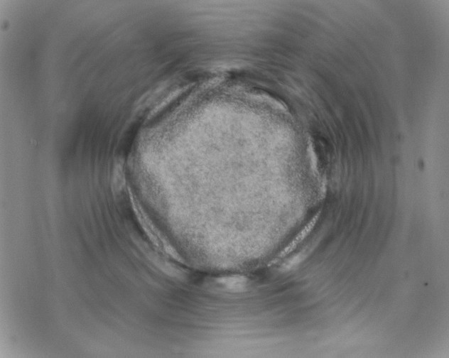 X0000073750478200608311940