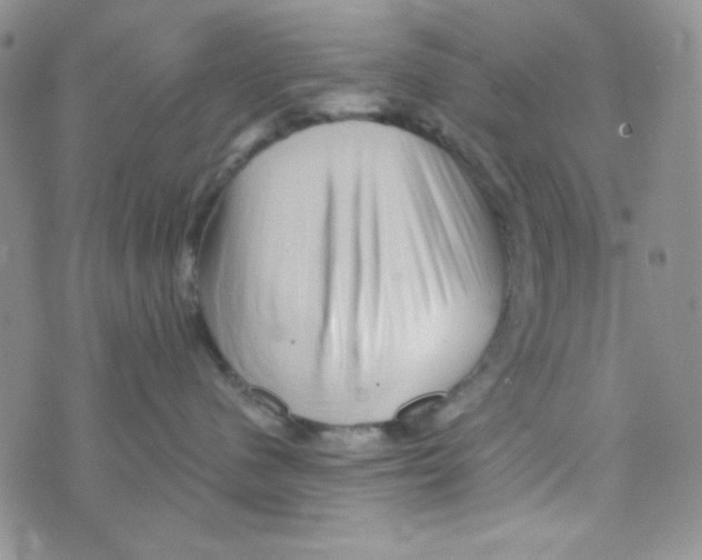 X0000073750480200608311940