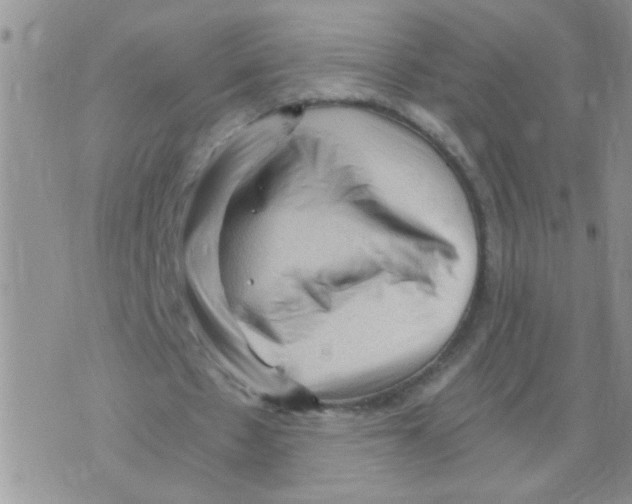 X0000073750481200608311939