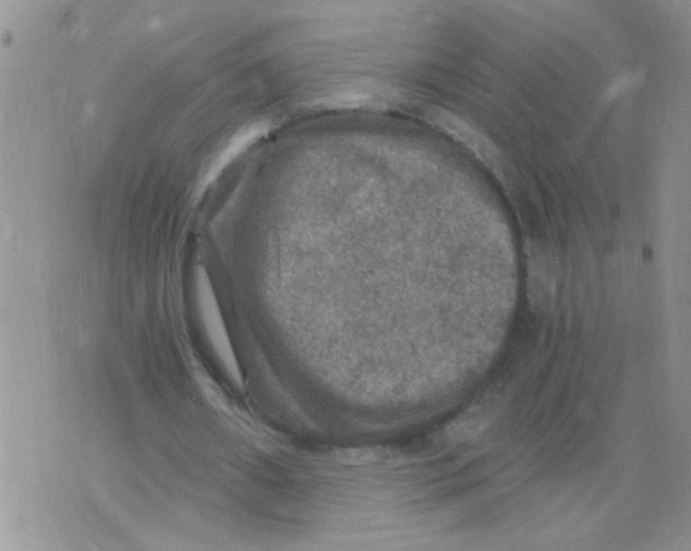 X0000073750482200608311939