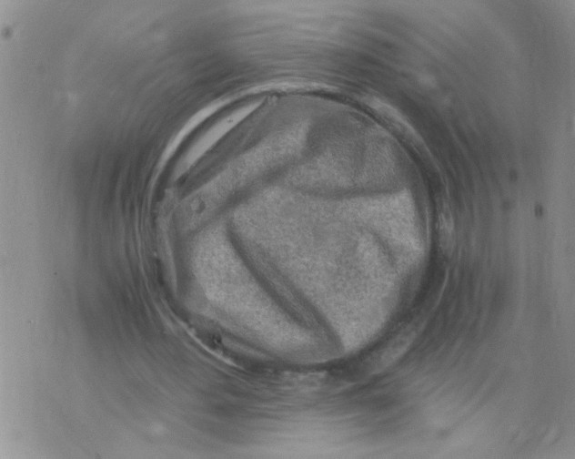 X0000073750484200608311939