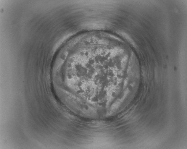 X0000073750487200608311939