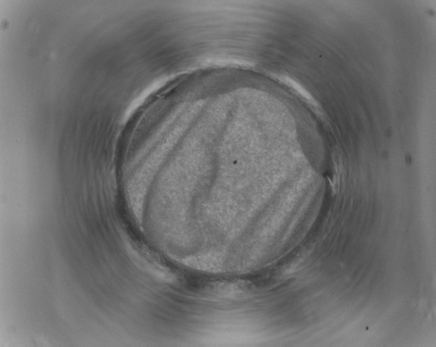 X0000073750488200608311939