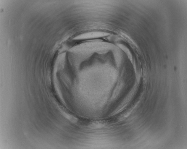 X0000073750489200608311939