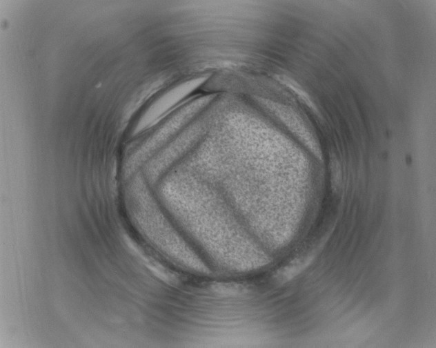 X0000073750490200608311939