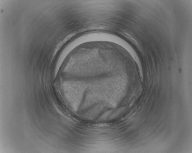 X0000073750492200608311939