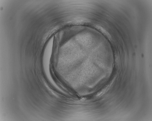 X0000073750493200608311939