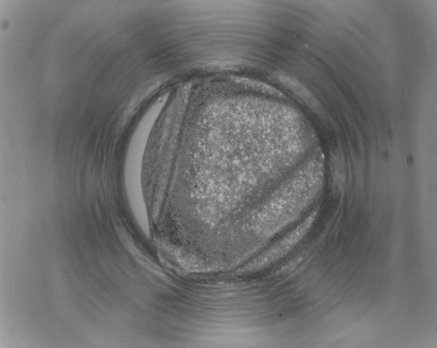 X0000073750494200608311939