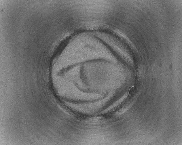 X0000073750497200608311939