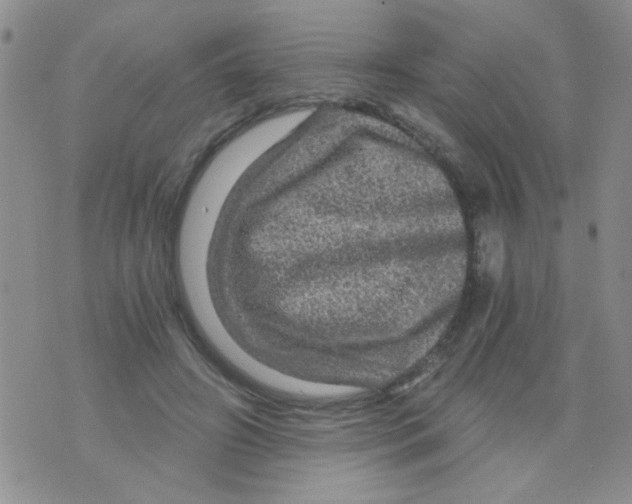 X0000073750498200608311939