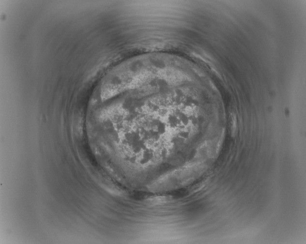 X0000073750499200608311939