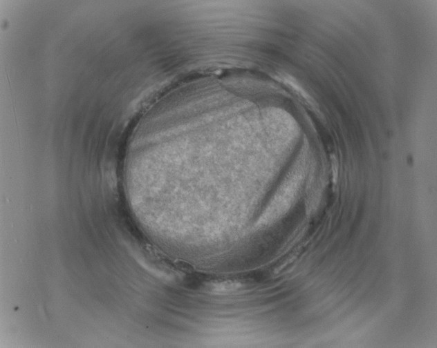 X0000073750500200608311939