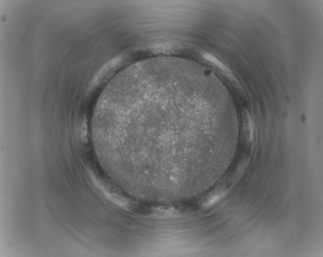 X0000073750502200608311938