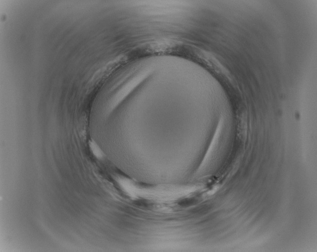 X0000073750505200608311938