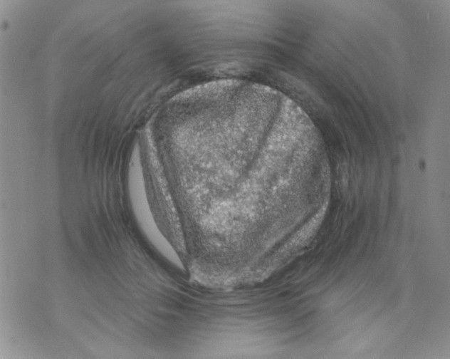 X0000073750506200608311938