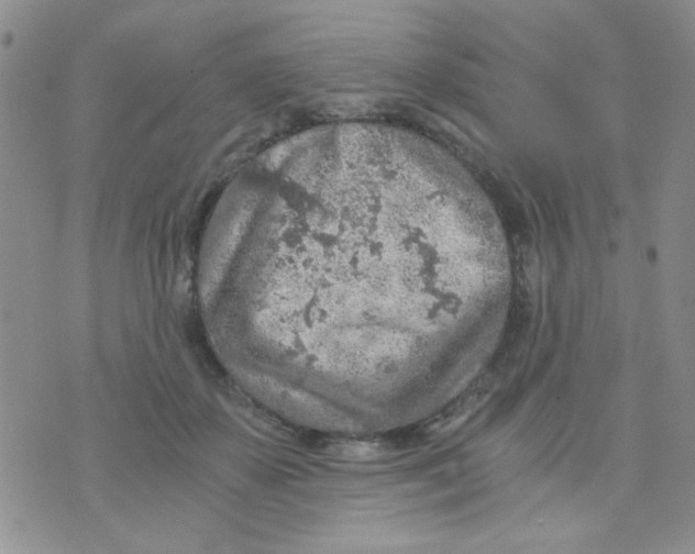 X0000073750507200608311938