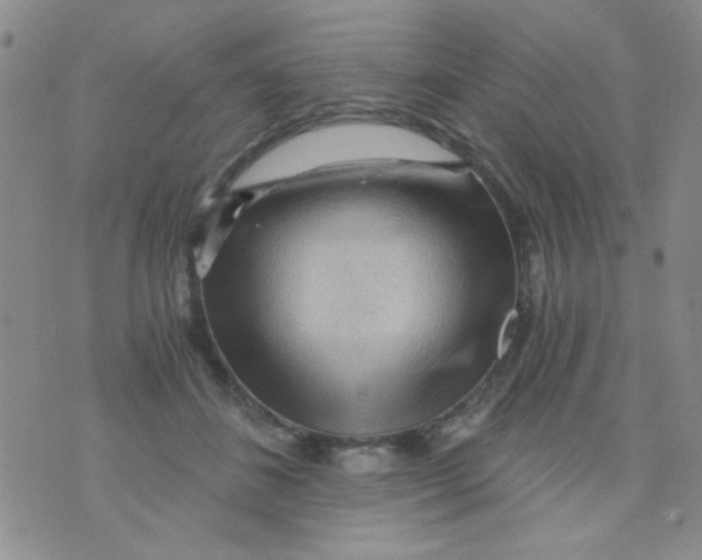 X0000073750508200608311938