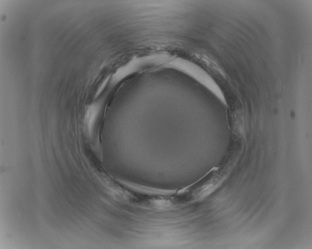 X0000073750509200608311938