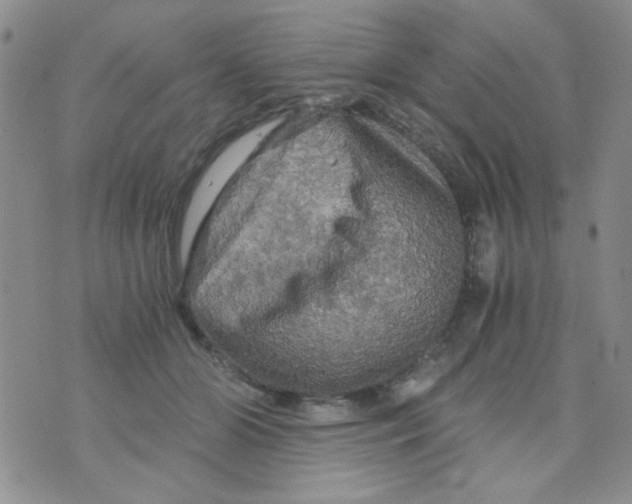 X0000073750510200608311938