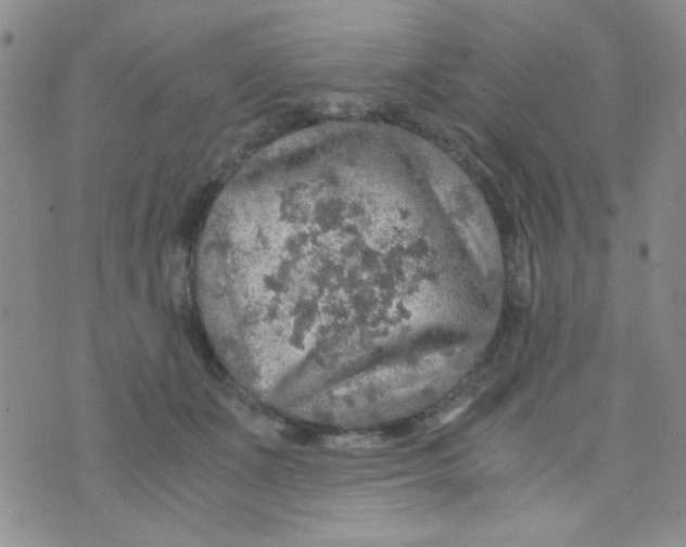 X0000073750511200608311938