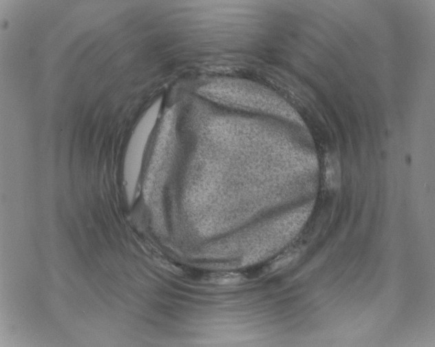 X0000073750514200608311938