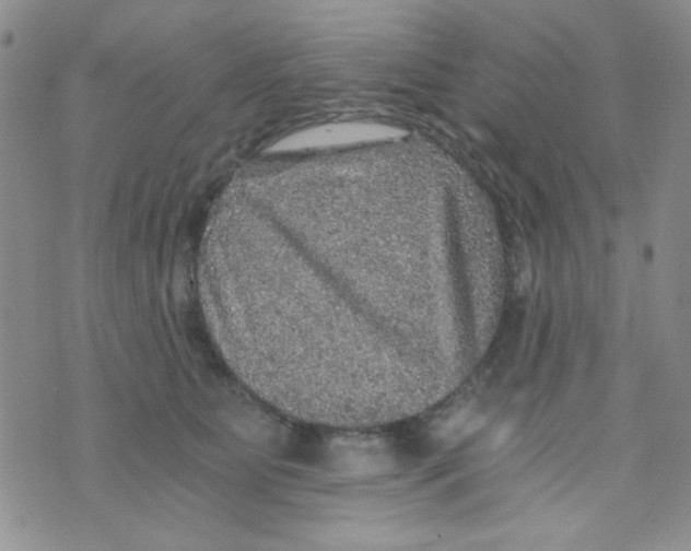 X0000073750515200608311938