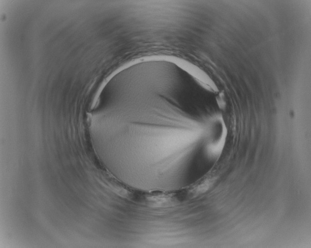 X0000073750516200608311938