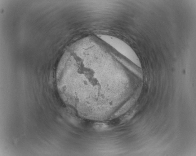 X0000073750519200608311938