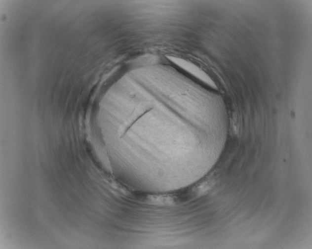 X0000073750520200608311938