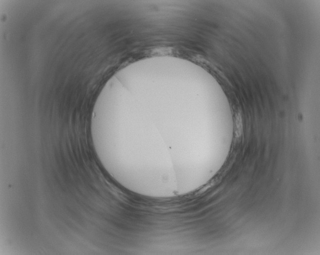 X0000073750522200608311938