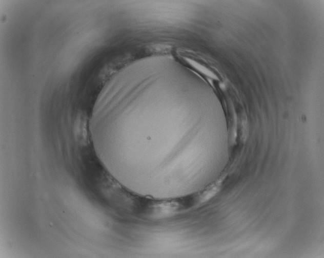 X0000073750525200608311938