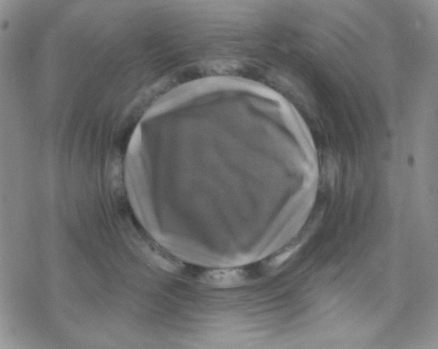 X0000073750526200608311938