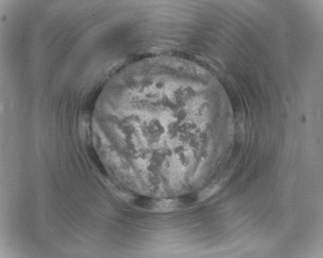 X0000073750527200608311938