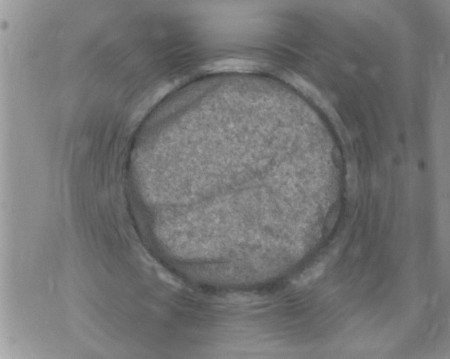 X0000073750529200608311937