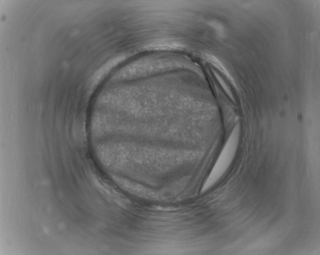 X0000073750531200608311937