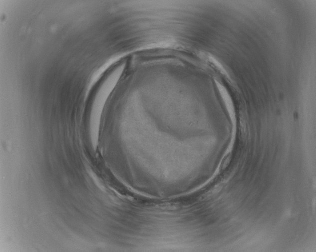 X0000073750532200608311937