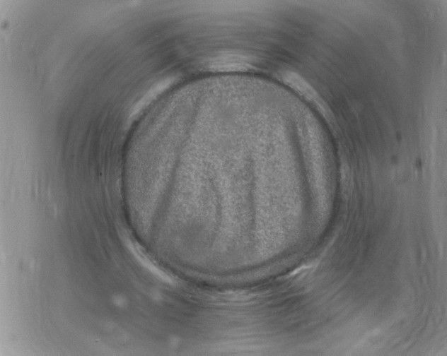 X0000073750533200608311937