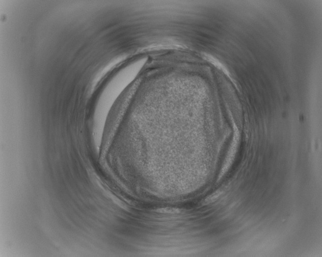 X0000073750535200608311937