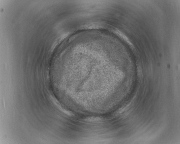 X0000073750537200608311937