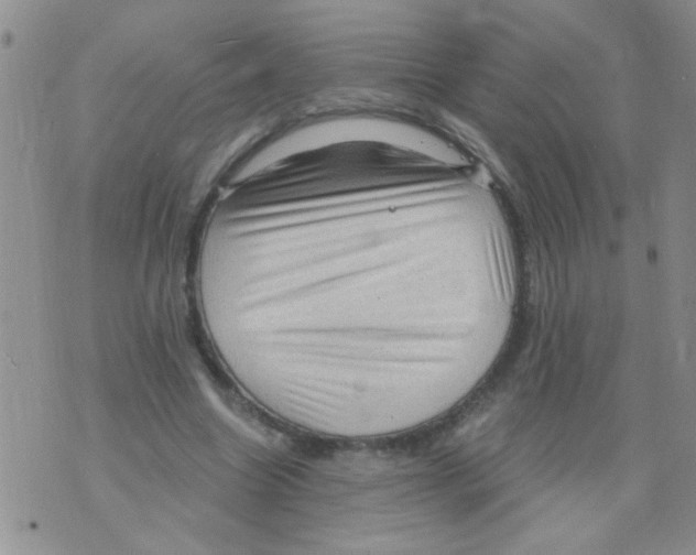 X0000073750538200608311937