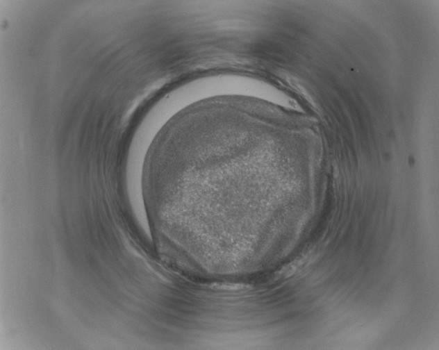 X0000073750539200608311937