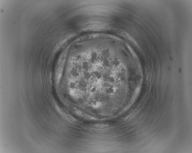 X0000073750542200608311938