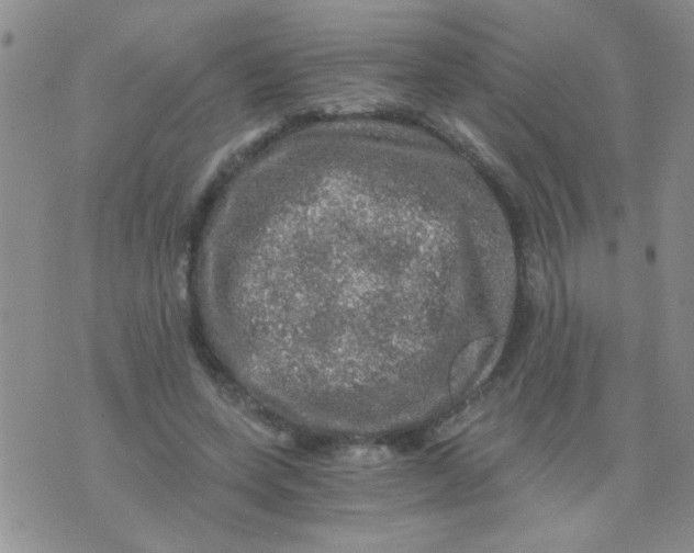 X0000073750543200608311938